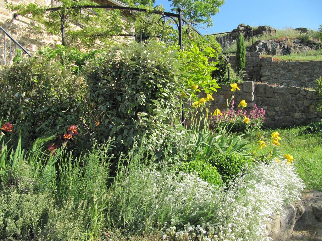 Le Petit Rias Gîte Soleil Saint Maurice en Chalencon Eksteriør billede