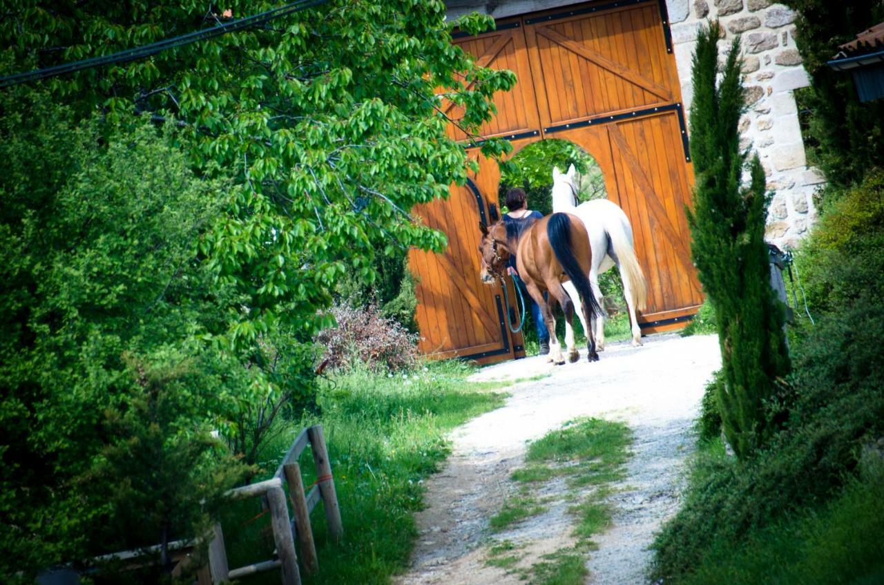 Le Petit Rias Gîte Soleil Saint Maurice en Chalencon Eksteriør billede