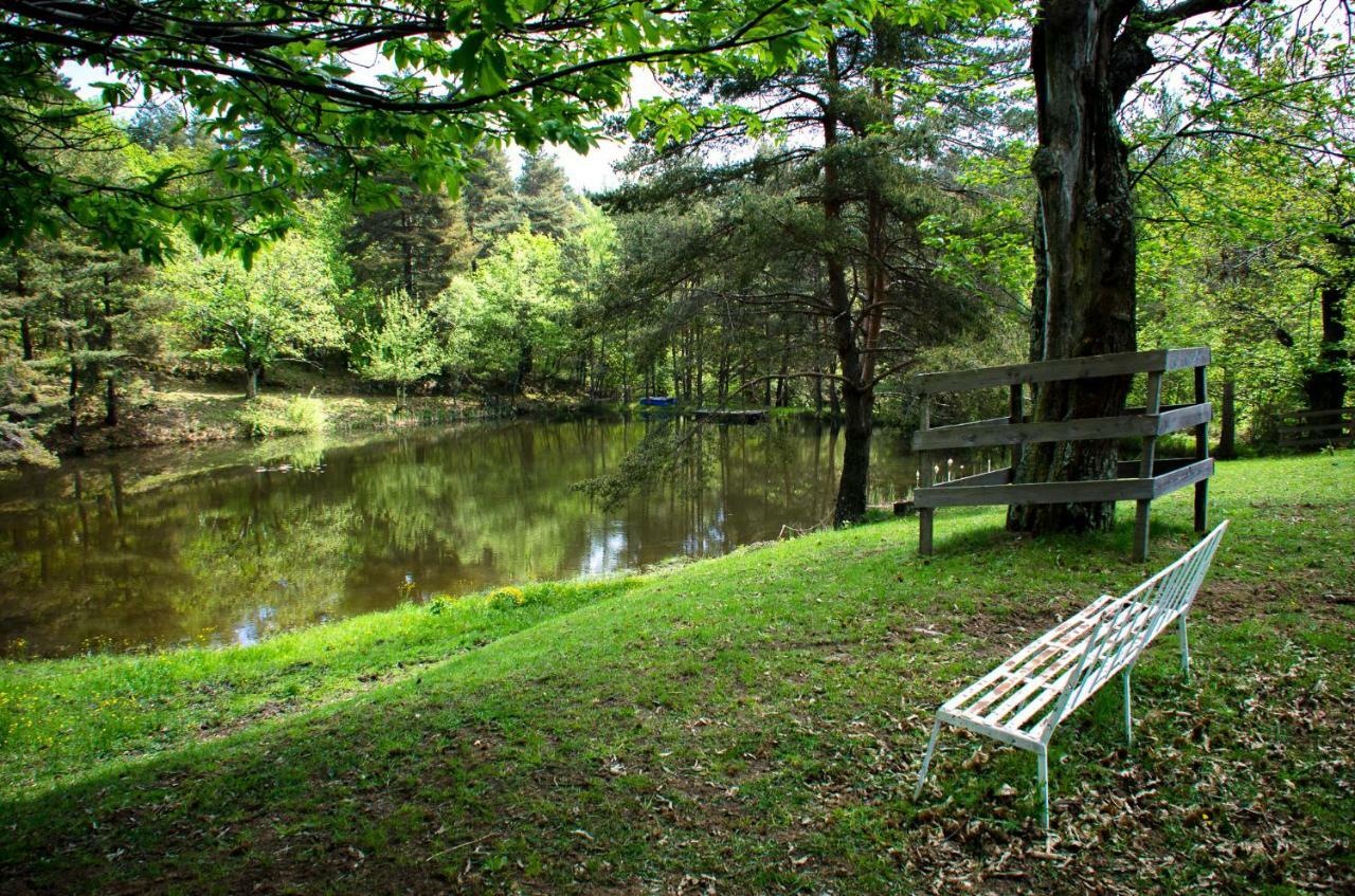Le Petit Rias Gîte Soleil Saint Maurice en Chalencon Eksteriør billede